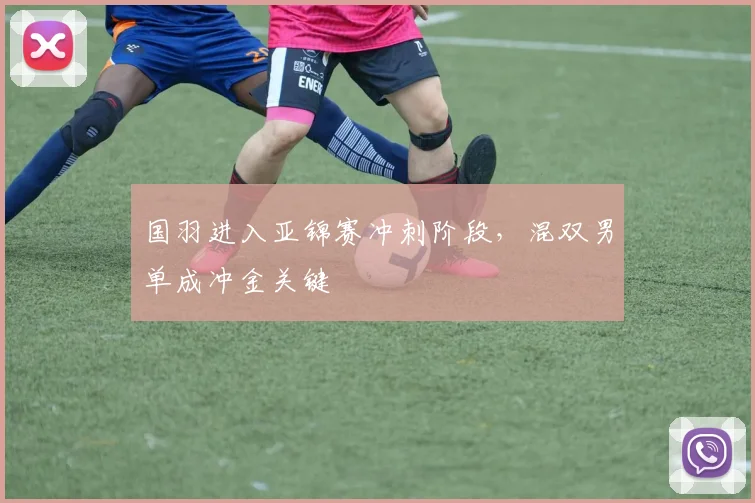 国羽进入亚锦赛冲刺阶段，混双男单成冲金关键