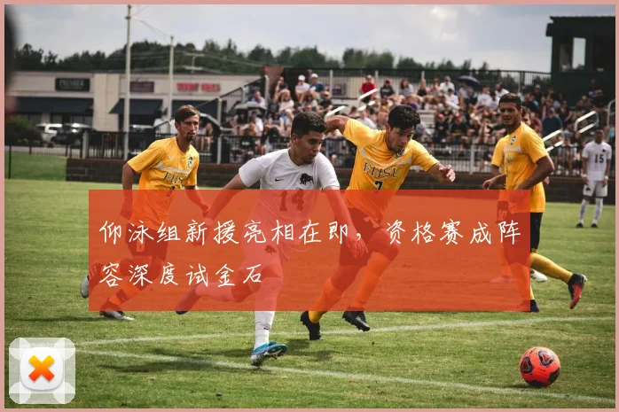 仰泳组新援亮相在即，资格赛成阵容深度试金石