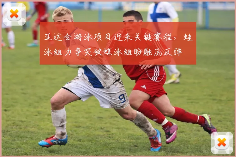 亚运会游泳项目迎来关键赛程，蛙泳组力争突破蝶泳组盼触底反弹